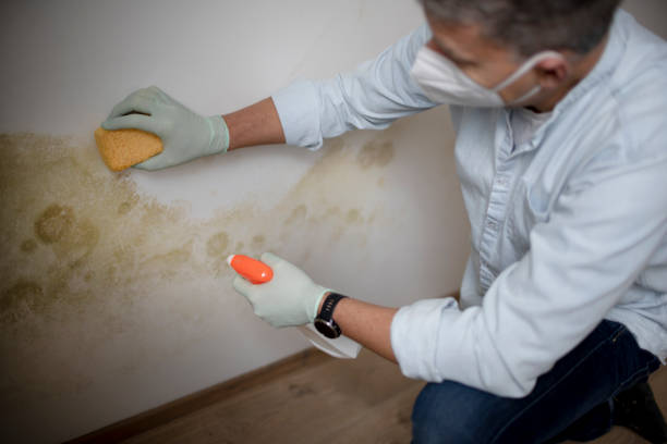 Best Industrial Mold Remediation in Aurora, SD