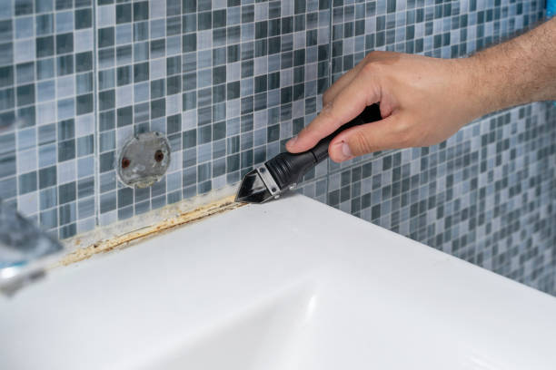 Best Commercial Mold Remediation in Aurora, SD